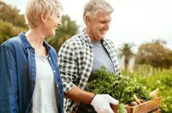 Seasonal Pruning Tips for Healthier Gardens